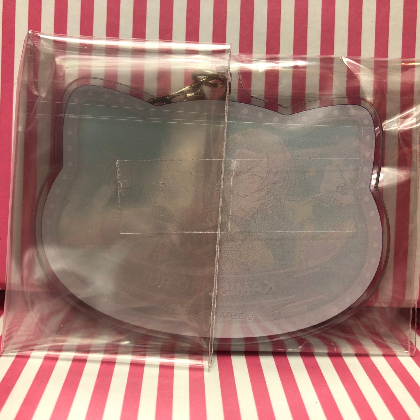 Kamishiro Rui Cat Porte-clés en acrylique Projet Sekai Scène colorée ! pi. Hatsune Miku