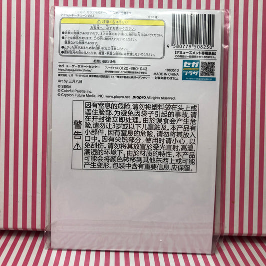 Akiyama Mizuki Project Sekai Porte-clés acrylique coloré ! pi. Hatsune Miku Vol.1