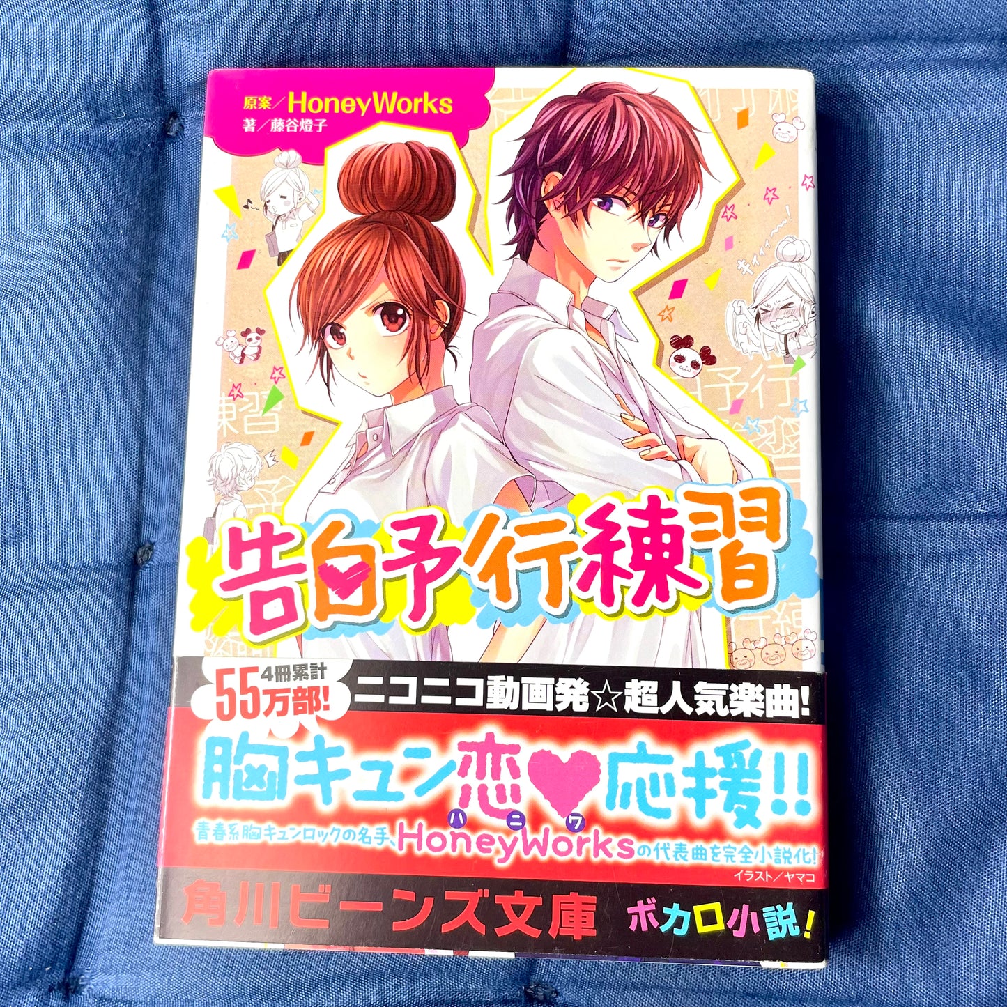 Répétition préliminaire de la confession du roman (Kadokawa Beans Bunko) Touko Fujitani Yamako HoneyWorks