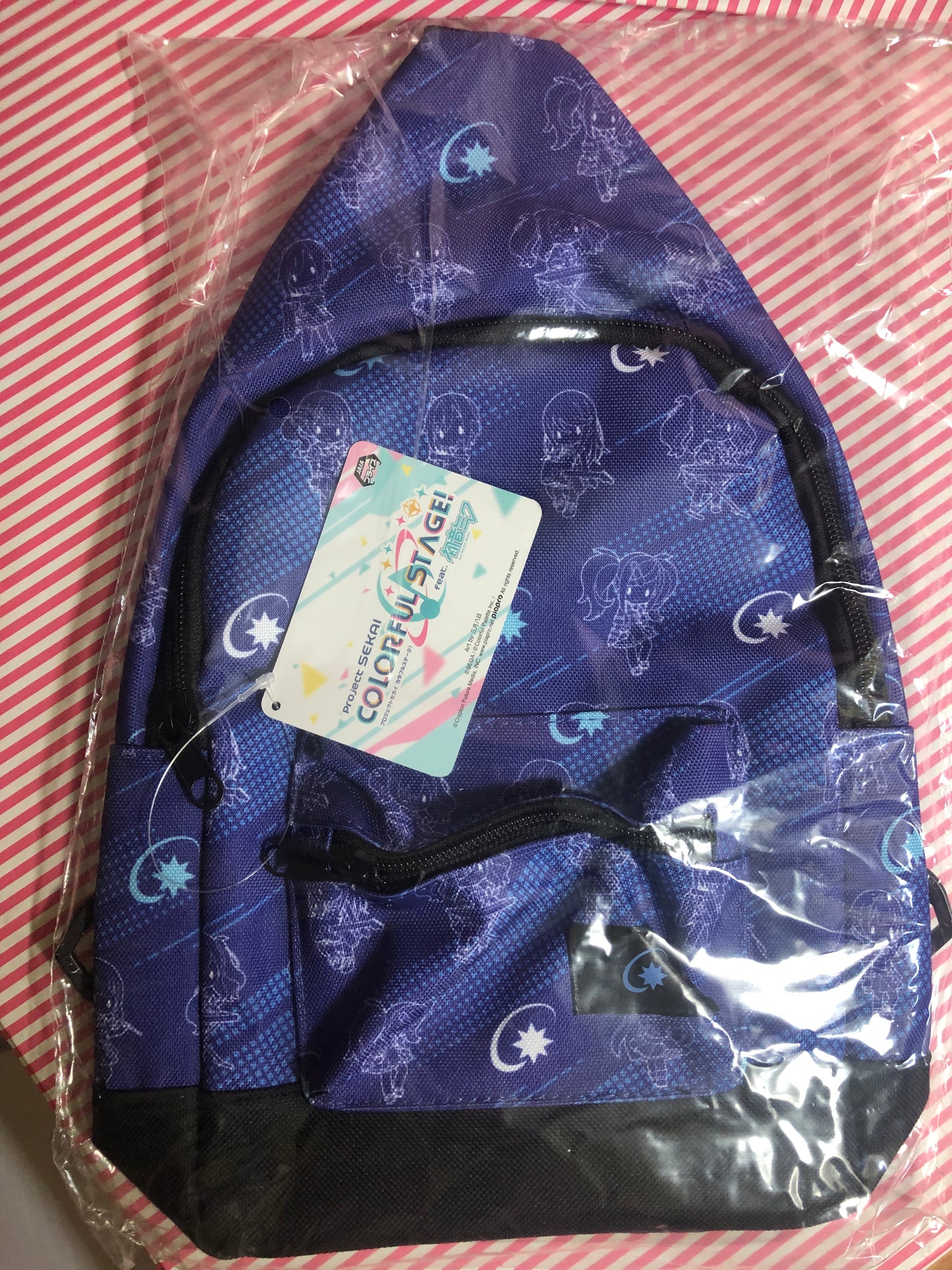 Project Sekai Colorful Stage Handbag Backpack! ft. Hatsune Miku LeoNeed