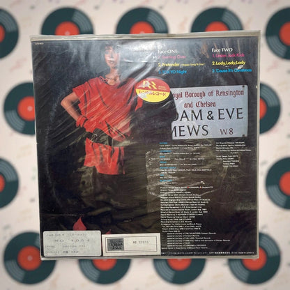 Positive Smile (SAYAKA IV) - Sayaka Ito - Vynil LP
