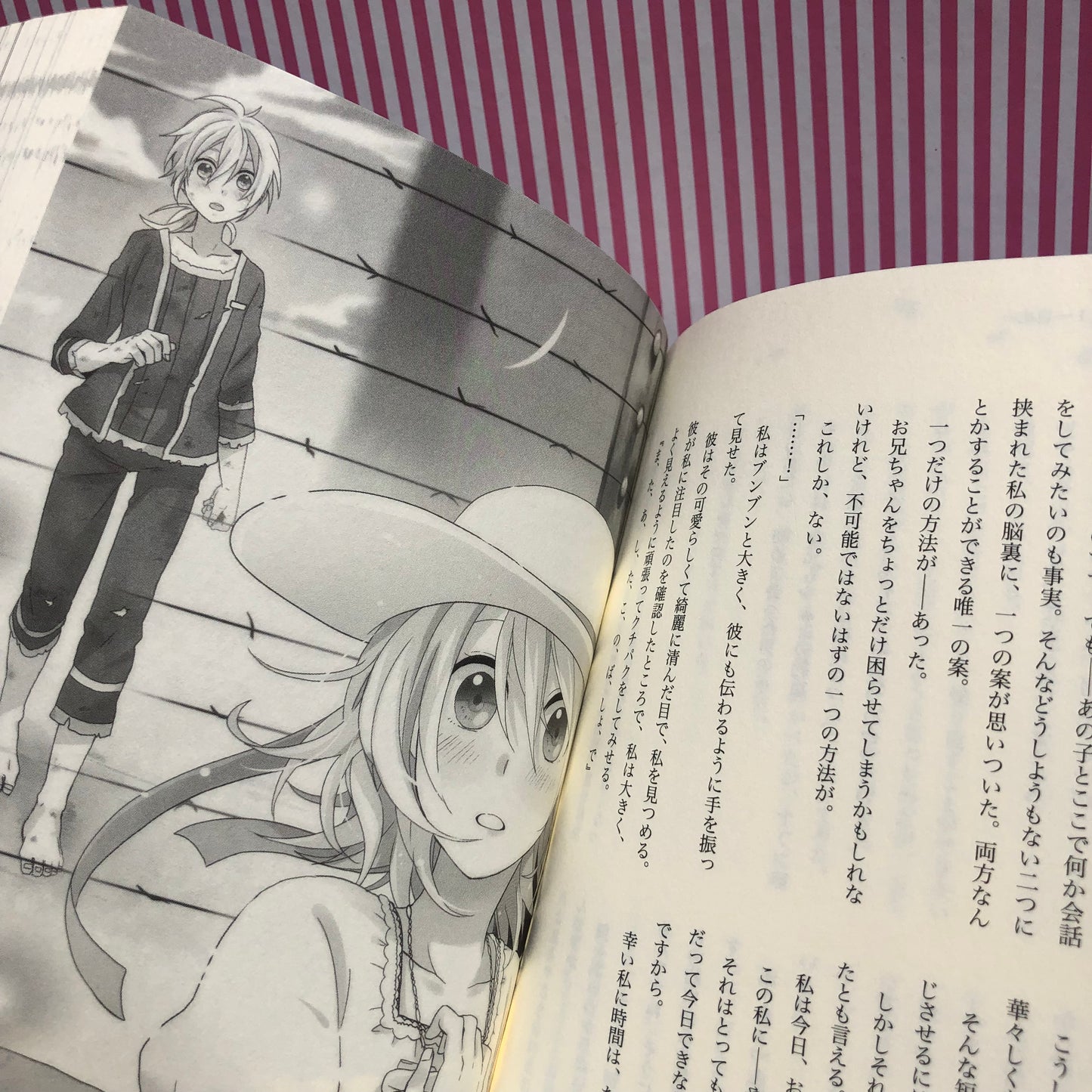 Novela Ligera Vocaloid Nico Nico Douga Prisoners, paper planes, girls, aporia Syujin to Kamihikouki "Shoujo Aporia" - Miku Hatsune, Syujin P